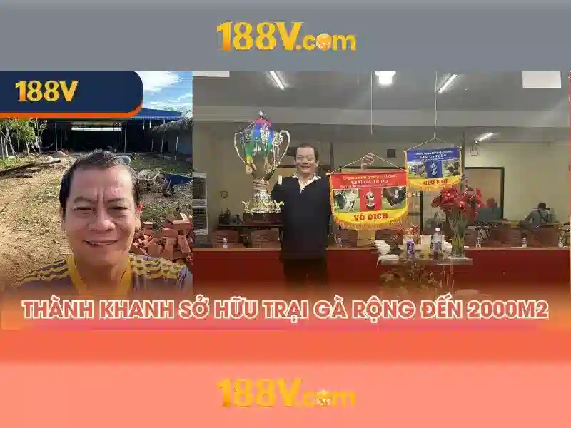 Ảnh minh họa 188v và tai app