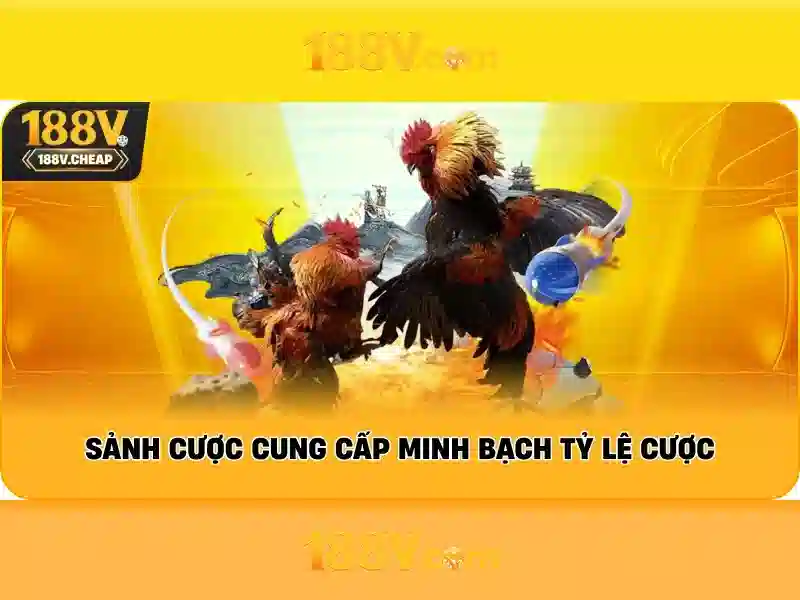 188v: một hành trình qua ánh sáng và âm thanh