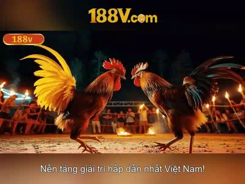 Khám phá 188V: Điểm nổi bật và ứng dụng
