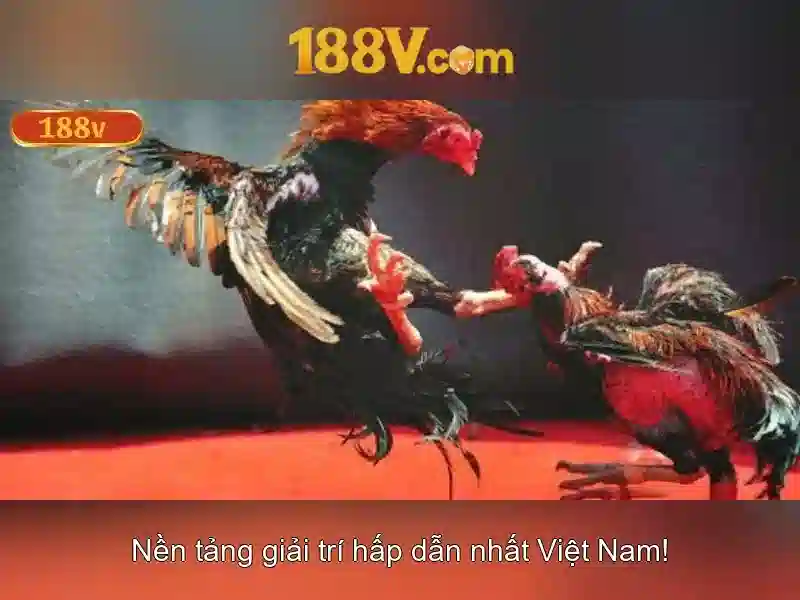 188v: hành trình và ý nghĩa của con số đặc biệt