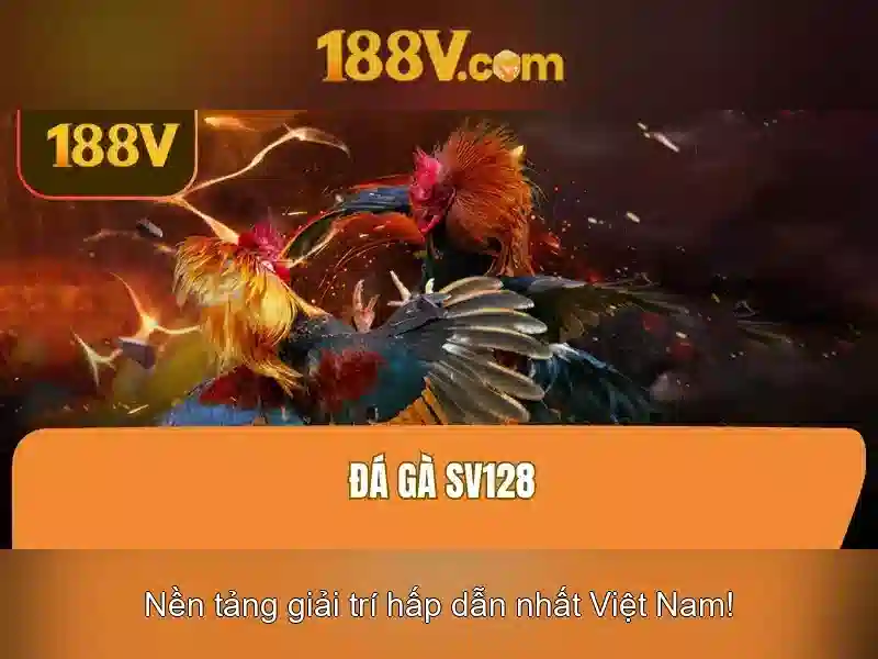 188v và hành trình của một ký ức số